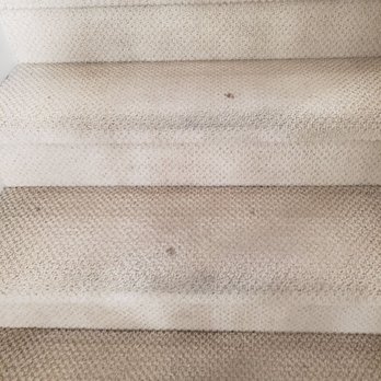 Eminent Carpet Cleaning - Before, the black spots are blood stain - Carpet Cleaning Near Me Eminent Carpet Cleaning - Before, the black spots are blood stain - Carpet Cleaning Near Me