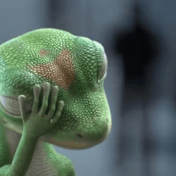 Geico Auto Insurance
