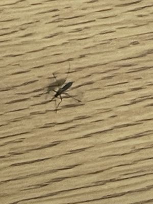 Jackson South Medical Center by null