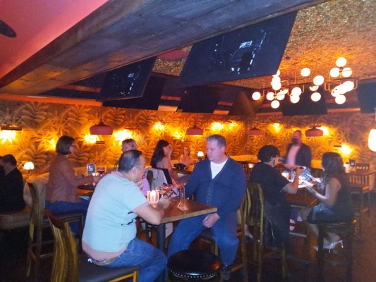 Truly, Oyster Bar by null