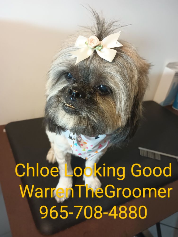 Pet Groomer Finder