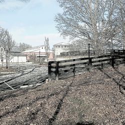 The Milton Book Trail