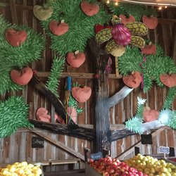 La Tête dans les Pommes - Excellente variété de pommes en abondance