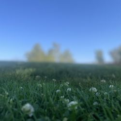 Brentwood Park - ‍
