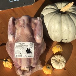 Pure Pasture Farms Richland Park - Pasture Raised Heritage Turkey - whole, cuts & sausages