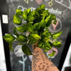 Flowers with Flair