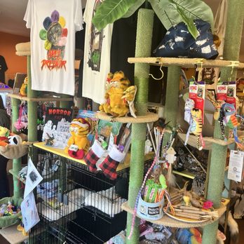 Catnip Too - Full of fun feline stuff - Used, Vintage & Consignment Near Me - Los Angeles, California Catnip Too - Full of fun feline stuff - Used, Vintage & Consignment Near Me - Los Angeles, California
