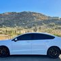 Photo of Shaded Knight Window Tinting