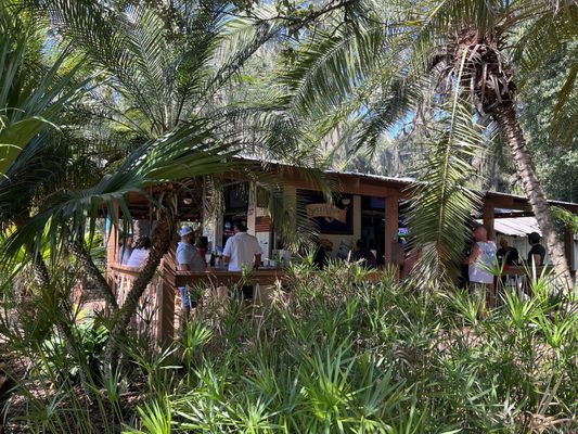 Tiki Bar & Grill by null