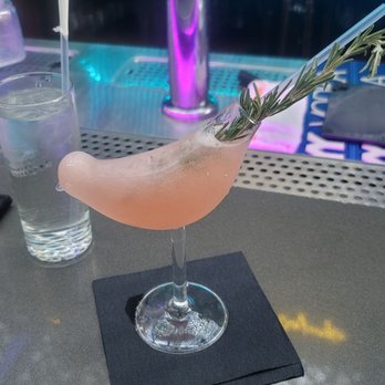 Highkey Rainforest Rooftop - Cute - Lounges Near Me - New York, New York Highkey Rainforest Rooftop - Cute - Lounges Near Me - New York, New York