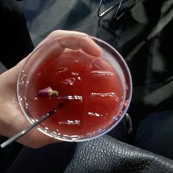 Holland Civic Center - Vodka drink