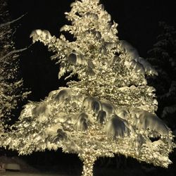 Tiffany's Mobile Massage - Its a winter wonderland in Vail!