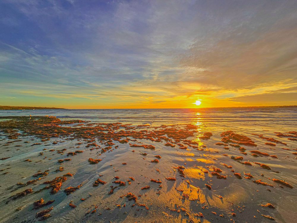 Second Beach / Sachuest Beach