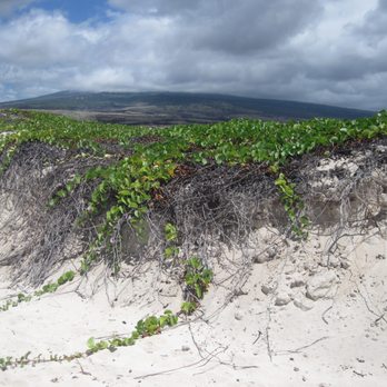 Makalawena Beach - Beaches Near Me - Kalaoa, Hawaii Makalawena Beach - Beaches Near Me - Kalaoa, Hawaii