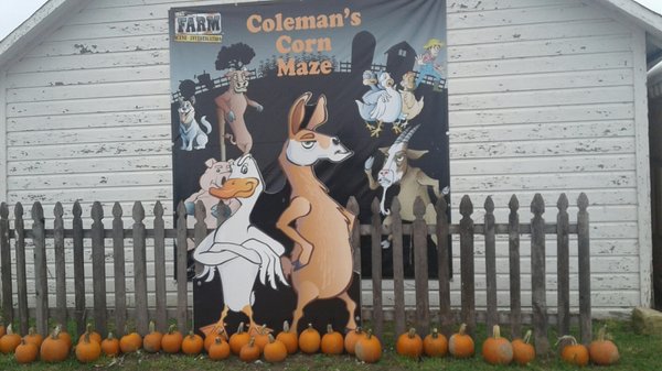 Coleman's Farm - Saline by null