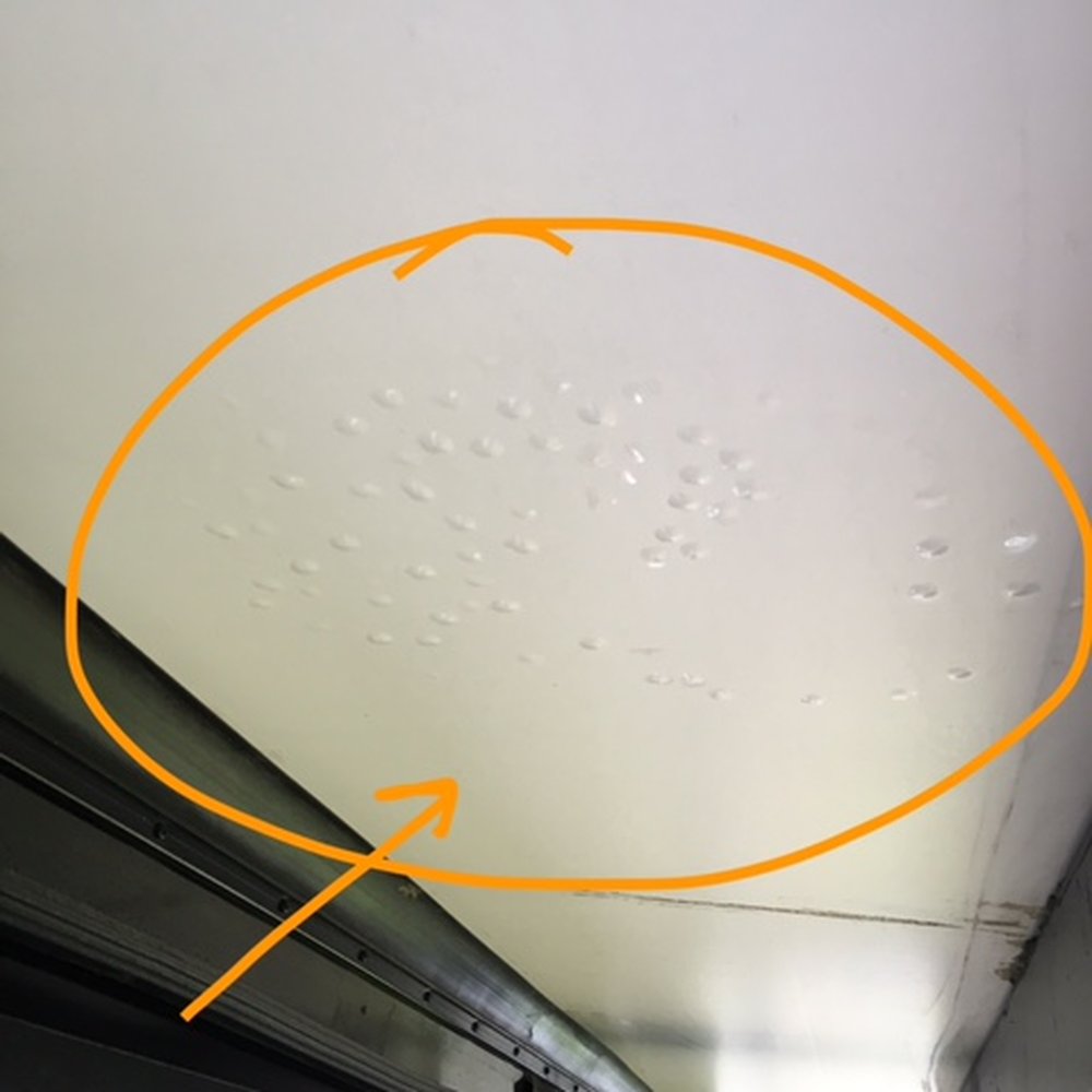 Capitol KOA - Sewer spray onto slide - Campgrounds Near Me - Millersville, Maryland