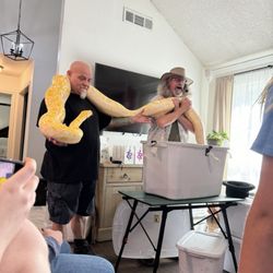Snake Encounters