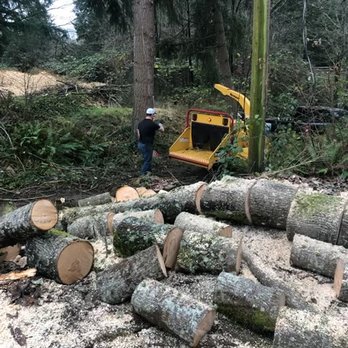 Brundage Tree Service - Look at the size of those logs! - Tree Services Near Me