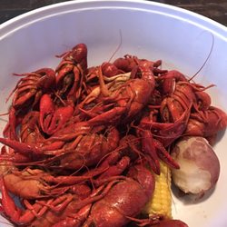 Just a few before the slaughter.