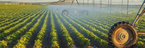 Burge Irrigation Logo