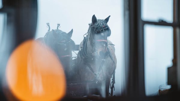 Fireside Dining by null