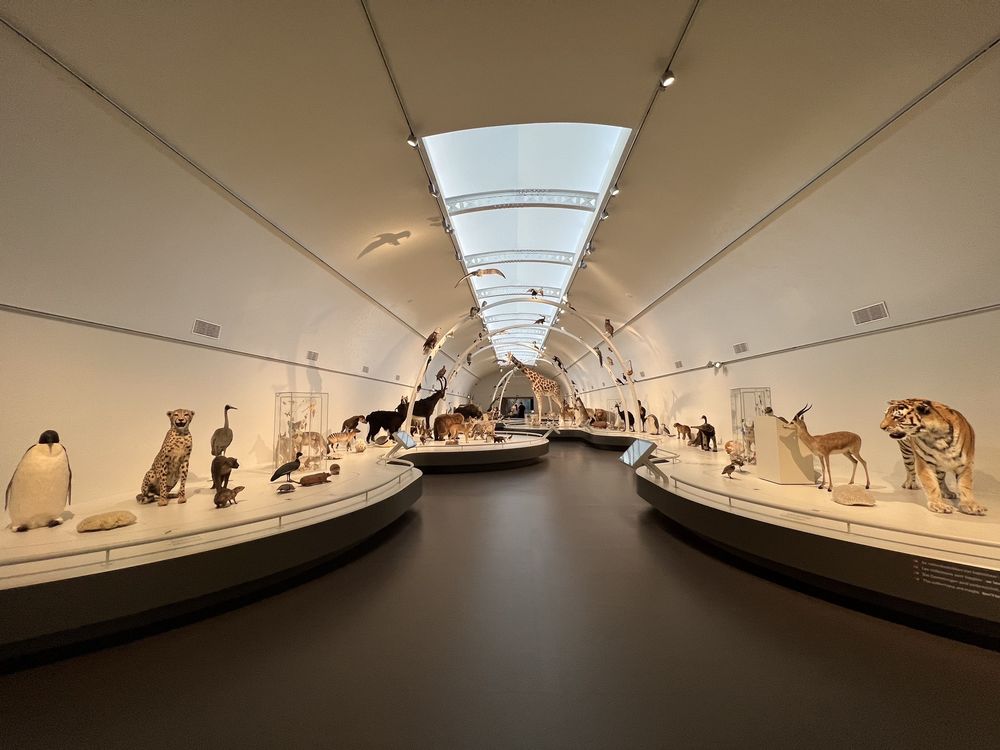 Museum of Natural Sciences