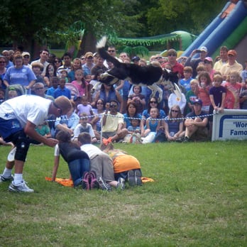 Mayfest - Dog in midair, good catch! - Festivals Near Me - Fort Worth, Texas Mayfest - Dog in midair, good catch! - Festivals Near Me - Fort Worth, Texas