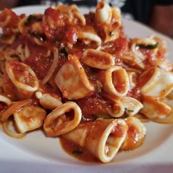 Pesto Italian - Calamari Marinara