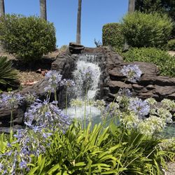 Waterfall