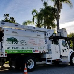 Natural Wonders Trees - Got palm trees... Bucket truck