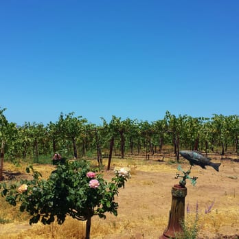 Mitchella Vineyard and Winery - Uvas! - Wineries Near Me - Paso Robles, California Mitchella Vineyard and Winery - Uvas! - Wineries Near Me - Paso Robles, California