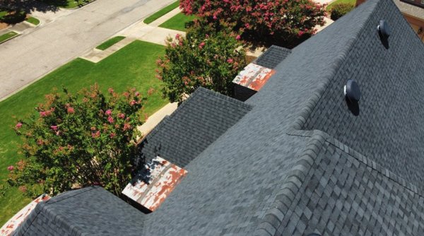 Purple Turtle Roofing