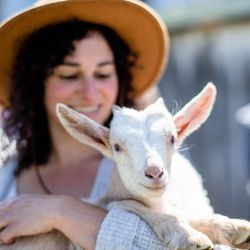 Food & Farm Tours - Playing with goats at Toluma Farms