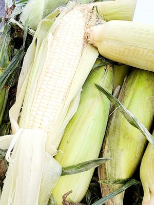 The Farmers Market at Brock's Gap by null
