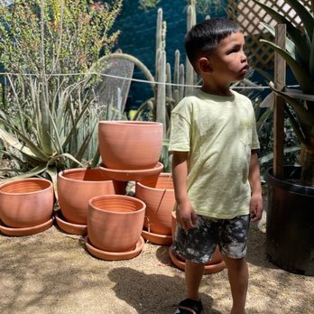 Dig It Gardens - Nurseries & Gardening Near Me - Phoenix, Arizona