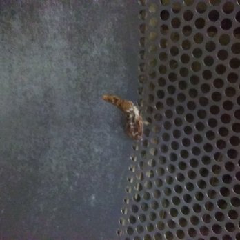 Maytag Coin Laundry - a piece of an article of my clothing burned to the inside of the dryer - Laundromat Near Me - Inglewood, California Maytag Coin Laundry - a piece of an article of my clothing burned to the inside of the dryer - Laundromat Near Me - Inglewood, California
