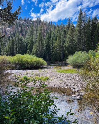 Devils Postpile National Monument by null
