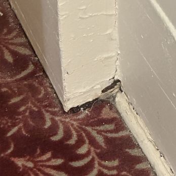 The Van Gilder Hotel - Hotel room carpet and wall. Gross. - Hotels Near Me - Seward, Alaska The Van Gilder Hotel - Hotel room carpet and wall. Gross. - Hotels Near Me - Seward, Alaska