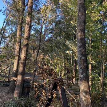 Good Ol Boys Tree Service - Remodeling - Tree Services Near Me Good Ol Boys Tree Service - Remodeling - Tree Services Near Me