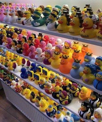 Amsterdam Duck Store by null