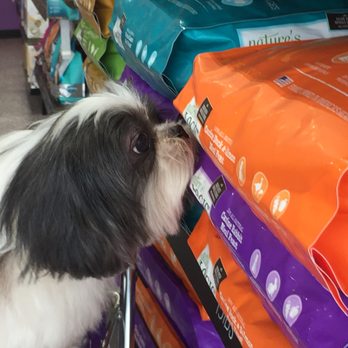 Wag N' Wash Natural Pet Food & Grooming - Lulu found a new Nature's Logic flavor. He nose lead her to the Duck. Yum - Pet Groomers Near Me - Aurora, Colorado Wag N' Wash Natural Pet Food & Grooming - Lulu found a new Nature's Logic flavor. He nose lead her to the Duck. Yum - Pet Groomers Near Me - Aurora, Colorado
