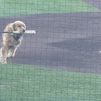 ESL Ballpark - Baseball Fields Near Me - Rochester, New York ESL Ballpark - Baseball Fields Near Me - Rochester, New York