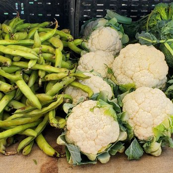 El Segundo Farmer's Market - Farmers Market Near Me - El Segundo, California El Segundo Farmer's Market - Farmers Market Near Me - El Segundo, California