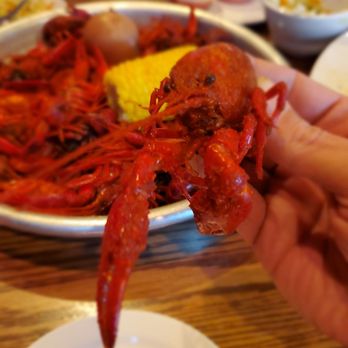 Fish City Grill - a person holding a crab - Seafood Near Me - Edmond, Oklahoma