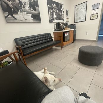 Veterinary Emergency Group - Comfortable space to wait with your dog - Emergency Pet Hospital Near Me - Palo Alto, California Veterinary Emergency Group - Comfortable space to wait with your dog - Emergency Pet Hospital Near Me - Palo Alto, California