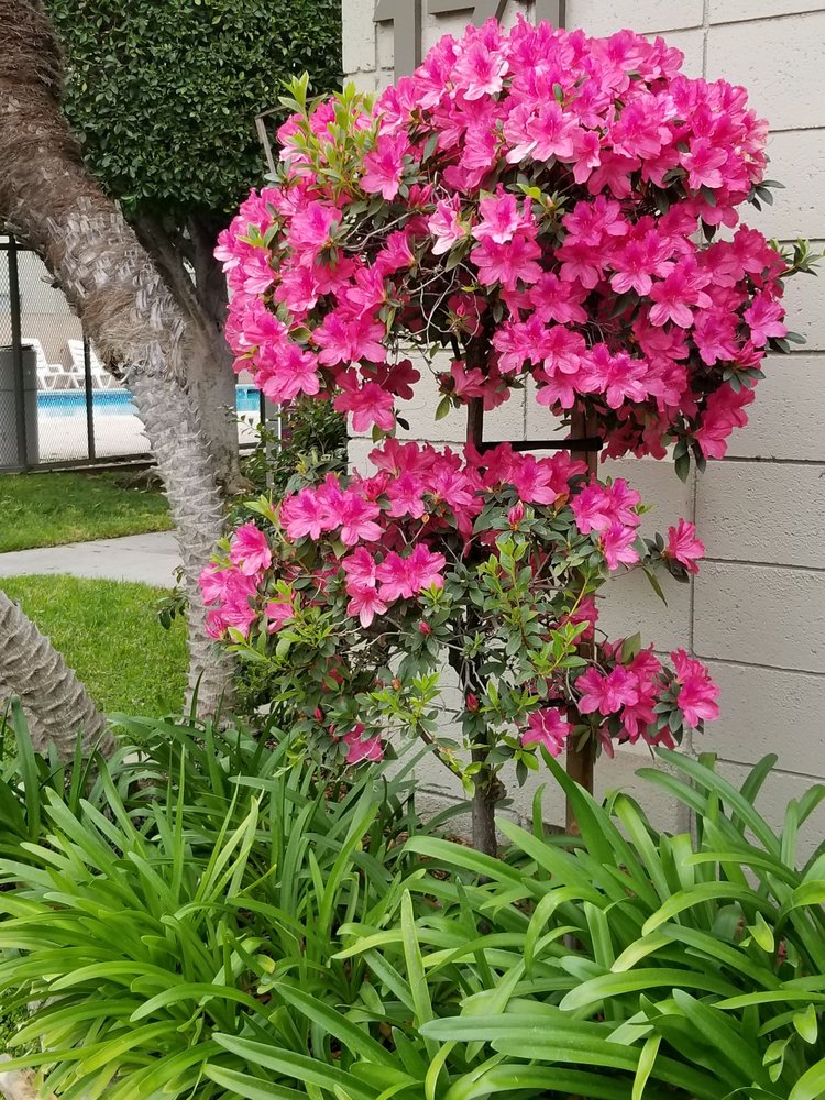 VALENCIA PARK APARTMENTS 10 Reviews 171 S Valencia St, La Habra