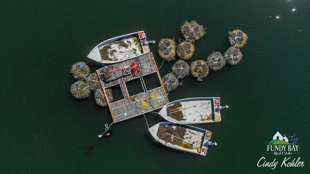 FUNDY BAY REAL ESTATE GROUP Updated August 2024 Request