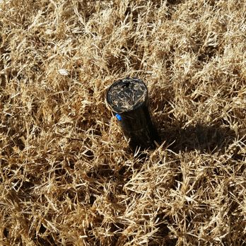 Irrigation Technicians - a sprinkler in the middle of a field - Landscaping Near Me Irrigation Technicians - a sprinkler in the middle of a field - Landscaping Near Me