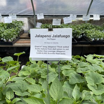 The Gardener's Choice - Nurseries & Gardening Near Me - Tigard, Oregon The Gardener's Choice - Nurseries & Gardening Near Me - Tigard, Oregon