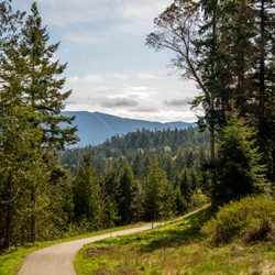 John Wayne's Water Front Resort of Sequim - On the Olympic Discovery Trail